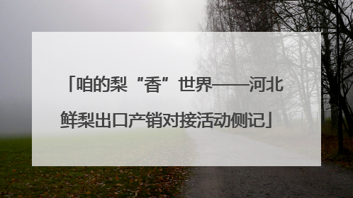咱的梨“香”世界——河北鲜梨出口产销对接活动侧记