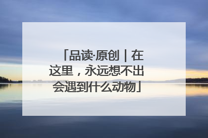品读·原创｜在这里，永远想不出会遇到什么动物