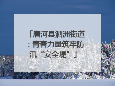 唐河县泗洲街道：青春力量筑牢防汛“安全堤”