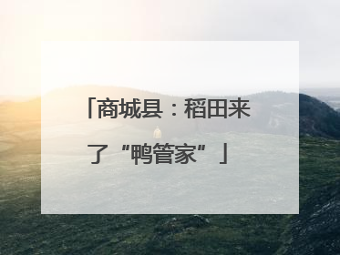 商城县：稻田来了“鸭管家”