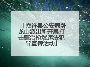 嘉祥县公安局卧龙山派出所开展打击整治枪爆违法犯罪宣传活动