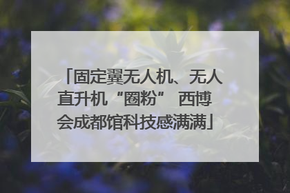 固定翼无人机、无人直升机“圈粉” 西博会成都馆科技感满满