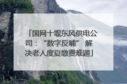 国网十堰东风供电公司：“数字反哺” 解决老人度夏缴费难题