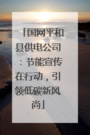 国网平和县供电公司：节能宣传在行动，引领低碳新风尚