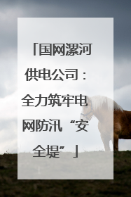国网漯河供电公司：全力筑牢电网防汛“安全堤”