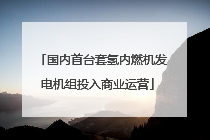 国内首台套氢内燃机发电机组投入商业运营