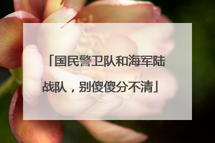 国民警卫队和海军陆战队，别傻傻分不清