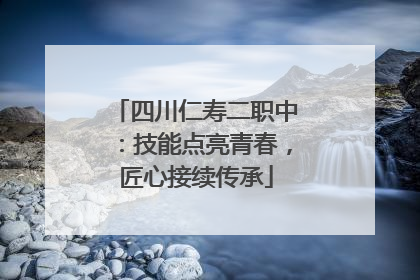 四川仁寿二职中：技能点亮青春，匠心接续传承