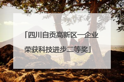 四川自贡高新区一企业荣获科技进步二等奖