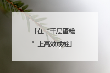 在“千层蛋糕”上高效成桩