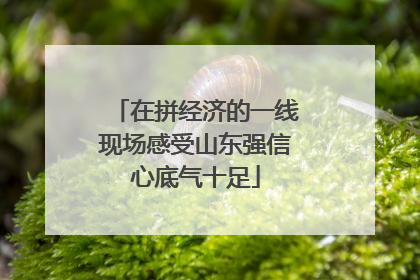 在拼经济的一线现场感受山东强信心底气十足