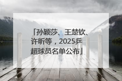 孙颖莎、王楚钦、许昕等，2025乒超球员名单公布