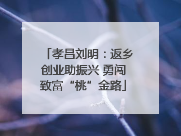 孝昌刘明：返乡创业助振兴 勇闯致富“桃”金路