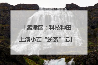 孟津区：科技种田 上演小麦“逆袭”记