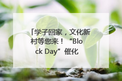 学子回家，文化新村等您来！“Block Day”催化学院式街区新生态