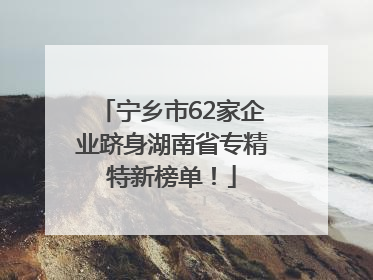 宁乡市62家企业跻身湖南省专精特新榜单！
