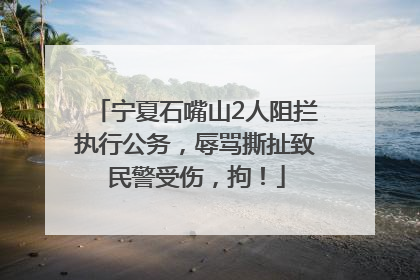 宁夏石嘴山2人阻拦执行公务，辱骂撕扯致民警受伤，拘！