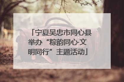 宁夏吴忠市同心县举办“粽韵同心·文明同行”主题活动