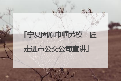 宁夏固原巾帼劳模工匠走进市公交公司宣讲