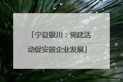 宁夏银川：党建活动促安居企业发展