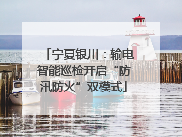 宁夏银川：输电智能巡检开启“防汛防火”双模式