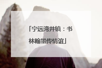 宁远湾井镇：书林翰墨传情谊