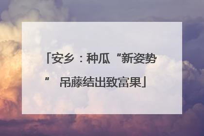 安乡：种瓜“新姿势” 吊藤结出致富果