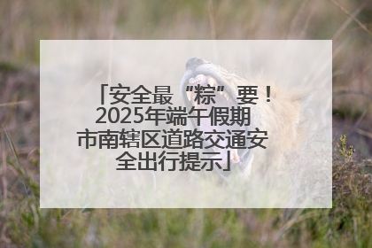 安全最“粽”要！2025年端午假期市南辖区道路交通安全出行提示