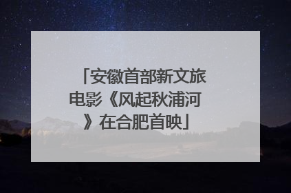安徽首部新文旅电影《风起秋浦河》在合肥首映