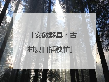 安徽黟县：古村夏日插秧忙