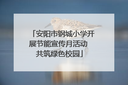 安阳市钢城小学开展节能宣传月活动 共筑绿色校园