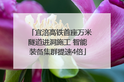 宜涪高铁首座万米隧道进洞施工 智能装备集群提速4倍