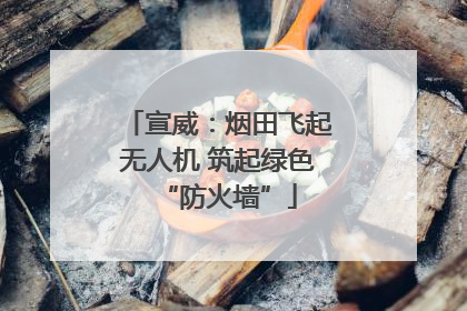 宣威：烟田飞起无人机 筑起绿色“防火墙”