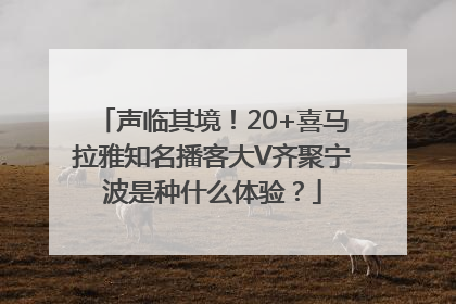 声临其境！20+喜马拉雅知名播客大V齐聚宁波是种什么体验？