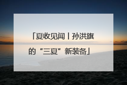 夏收见闻丨孙洪旗的“三夏”新装备
