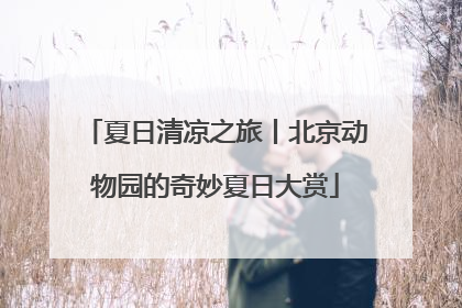 夏日清凉之旅丨北京动物园的奇妙夏日大赏