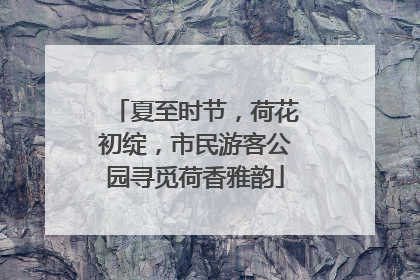 夏至时节，荷花初绽，市民游客公园寻觅荷香雅韵