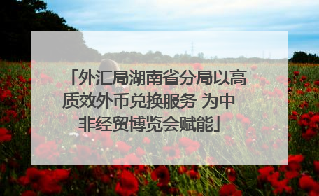外汇局湖南省分局以高质效外币兑换服务 为中非经贸博览会赋能
