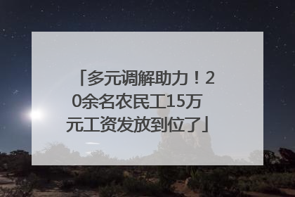 多元调解助力！20余名农民工15万元工资发放到位了