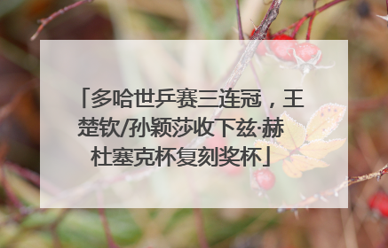 多哈世乒赛三连冠，王楚钦/孙颖莎收下兹·赫杜塞克杯复刻奖杯