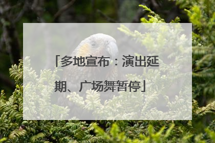 多地宣布：演出延期、广场舞暂停