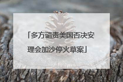 多方谴责美国否决安理会加沙停火草案