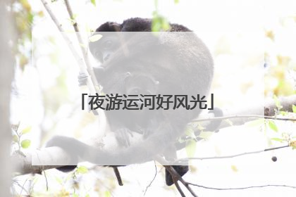 夜游运河好风光