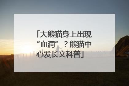 大熊猫身上出现“血洞”？熊猫中心发长文科普