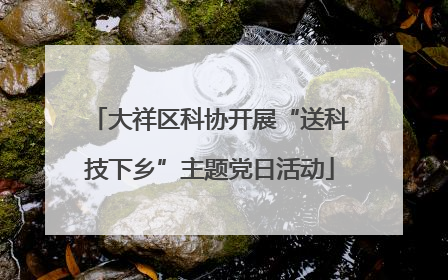 大祥区科协开展“送科技下乡”主题党日活动