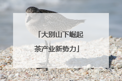 大别山下崛起茶产业新势力