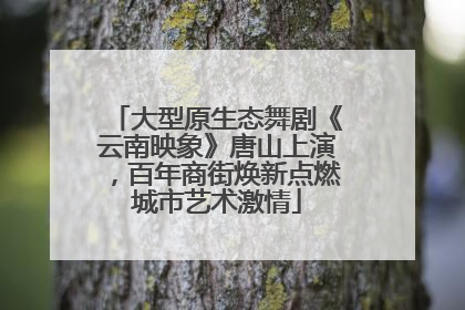 大型原生态舞剧《云南映象》唐山上演，百年商街焕新点燃城市艺术激情