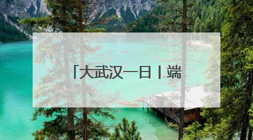大武汉一日丨端午节，我为动物园小矮马做粽子