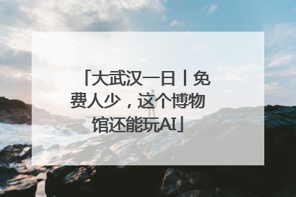 大武汉一日丨免费人少，这个博物馆还能玩AI