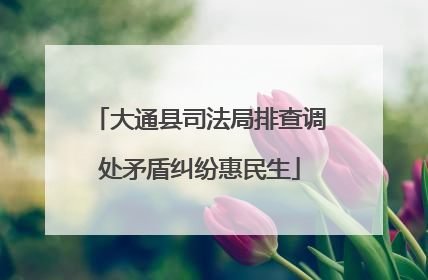 大通县司法局排查调处矛盾纠纷惠民生